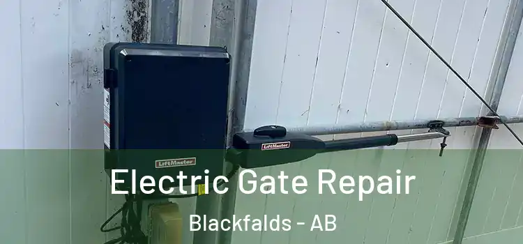 Electric Gate Repair Blackfalds - AB