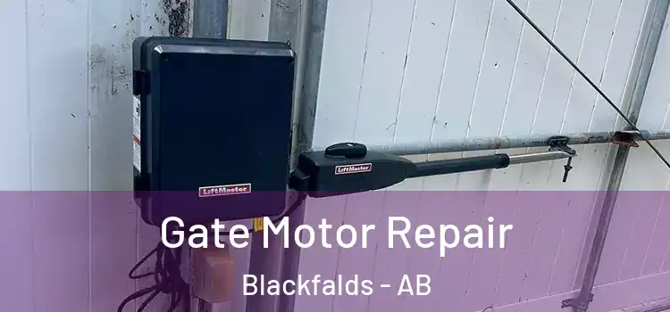  Gate Motor Repair Blackfalds - AB